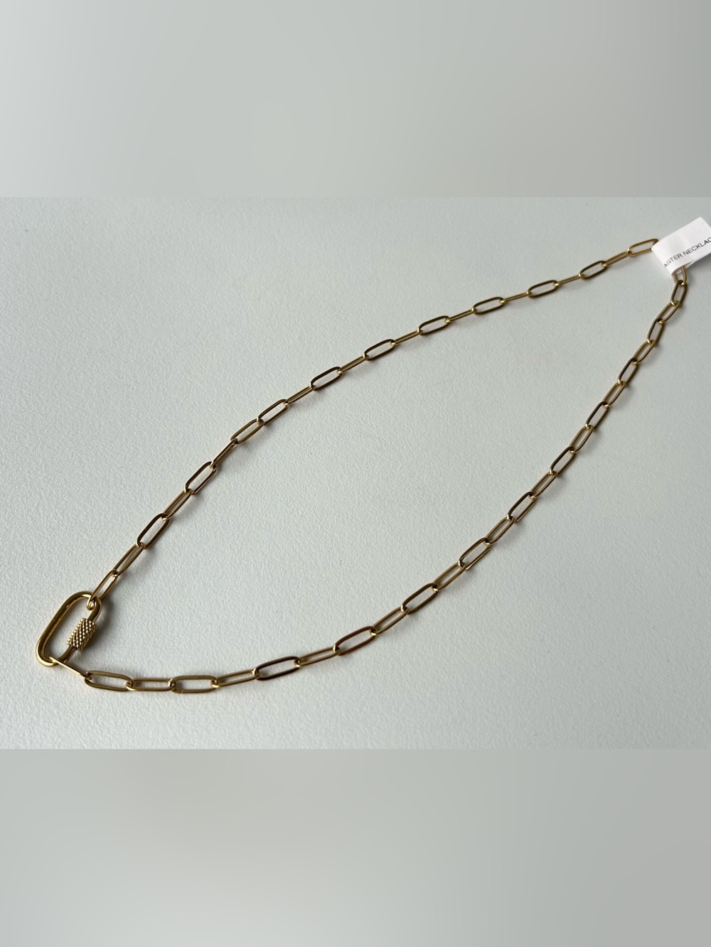 NWT Delicate Paperclip Charm Necklace Chain